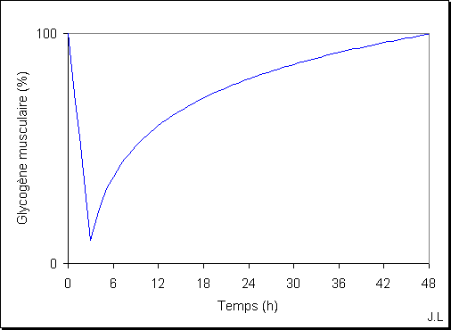 Consommation et régénération du glycogène musculaire Consommation et régénération du glycogène musculaire